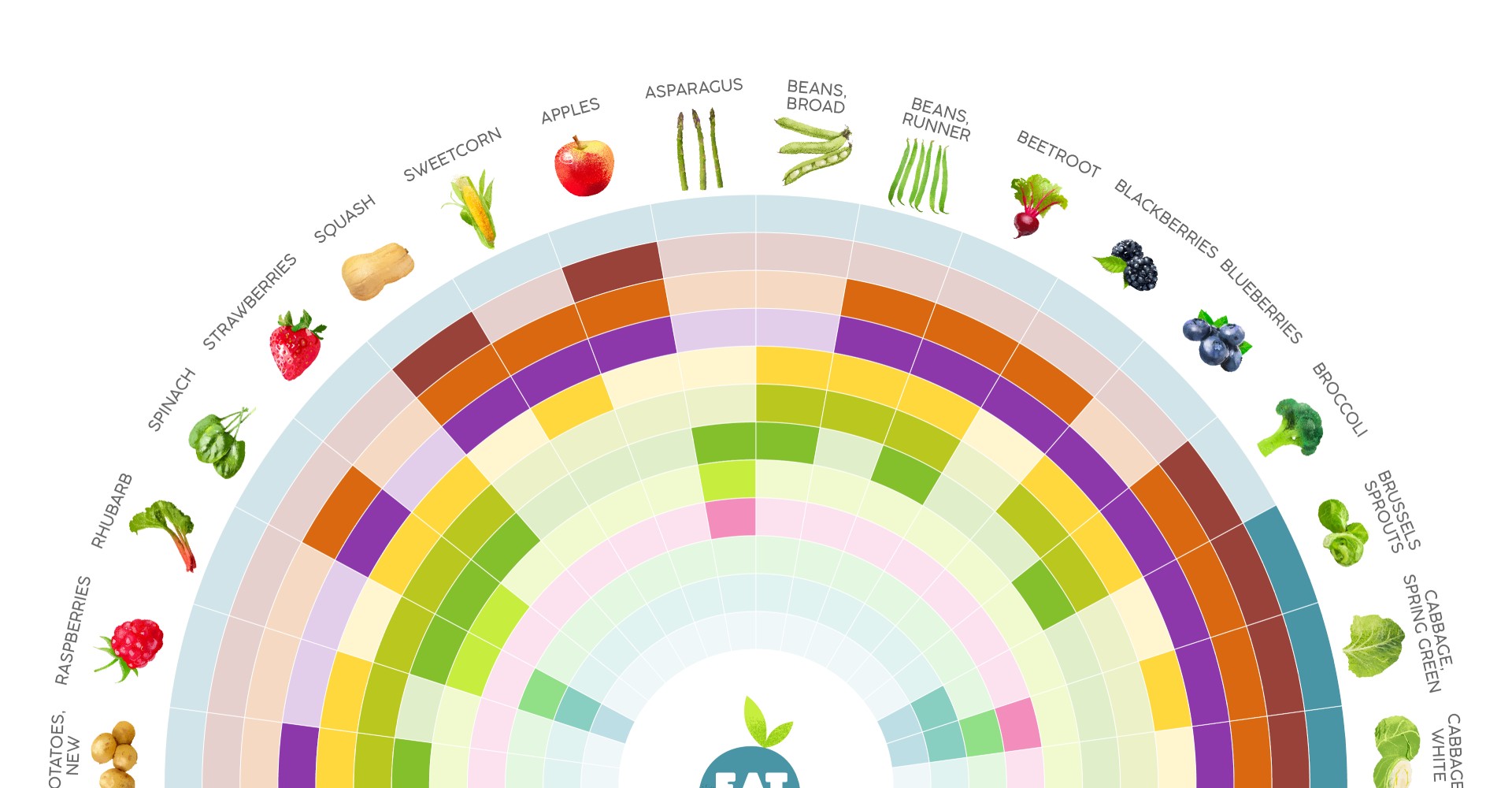 The Eat Seasonably calendar, part 1: fruit and vegetables in season from January to June